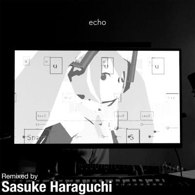 echo (Haraguchi Sasuke Remix)